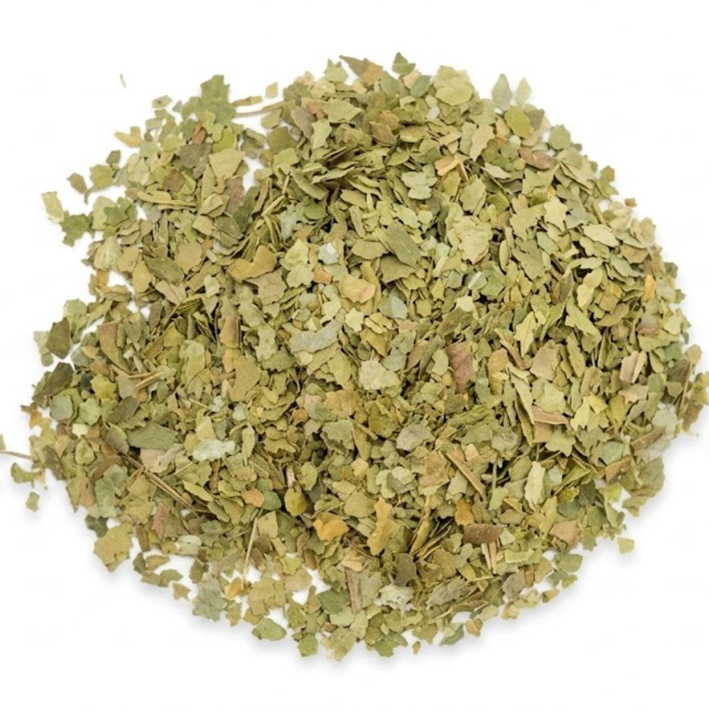 Soursop Graviola Leaf Cut for Brewing & Everyday Tea