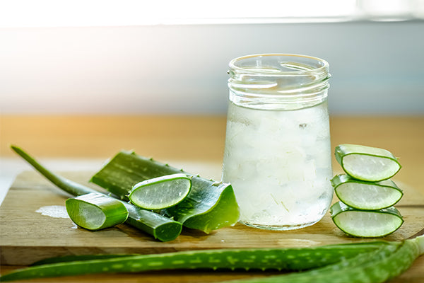 Organic Aloe Vera Leaf Juice Concentrate (10X): Food Grade for Digesti