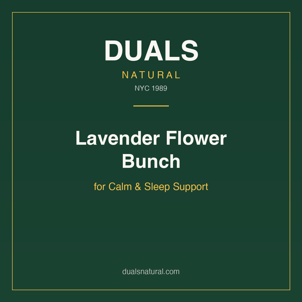 Lavender Flower Bunch for Calm & Sleep Support