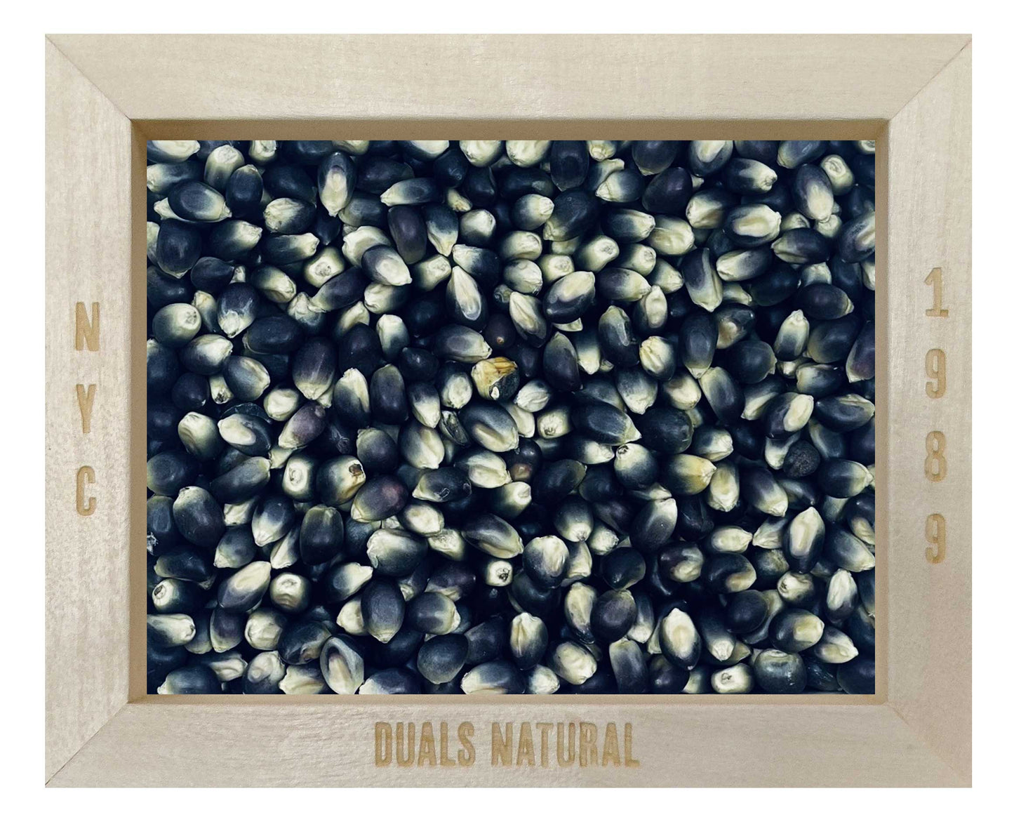 POP CORN, SHAMAN BLUE