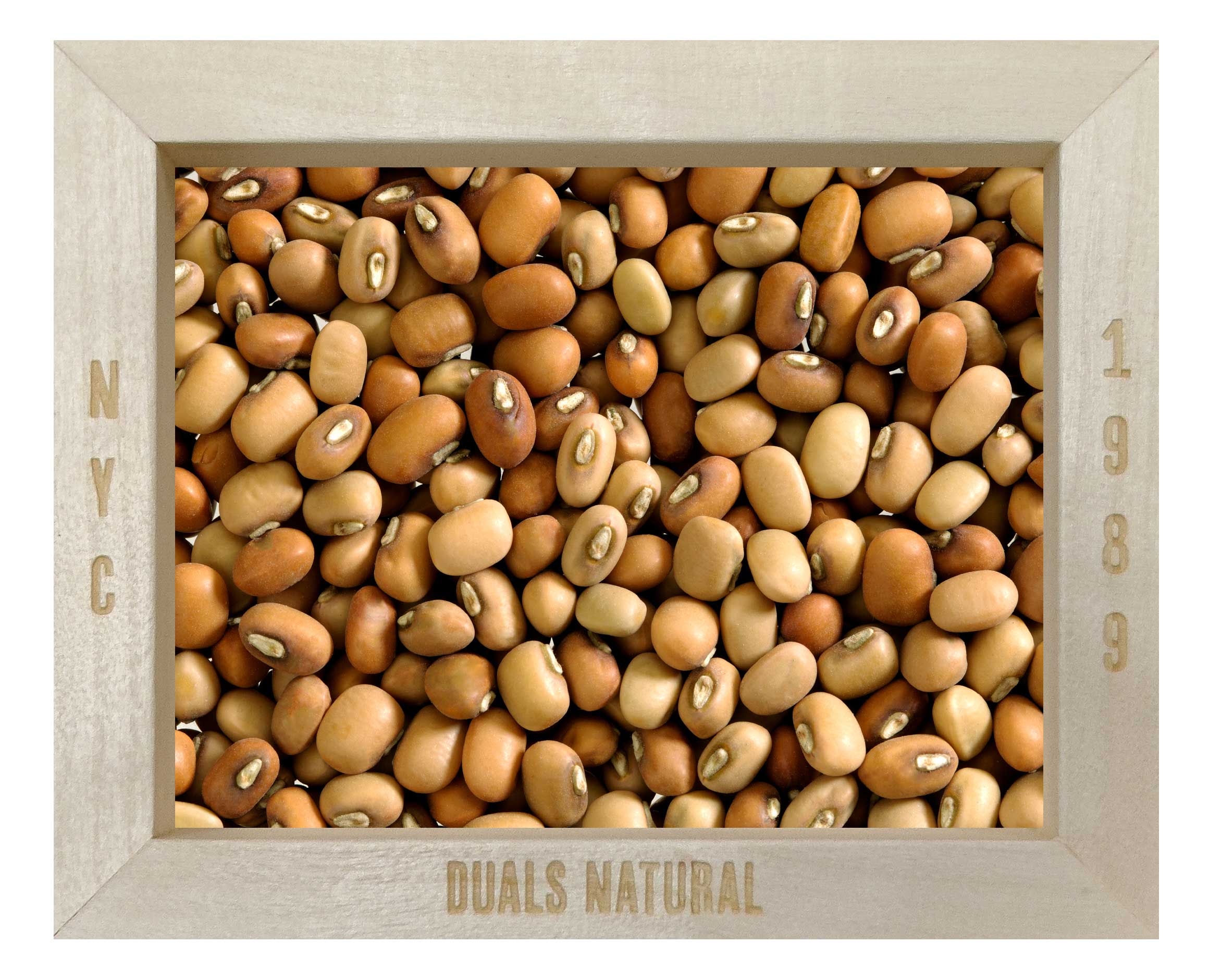 Moth Beans| Matki Dal| Whole Moth Beans | Moth Dal