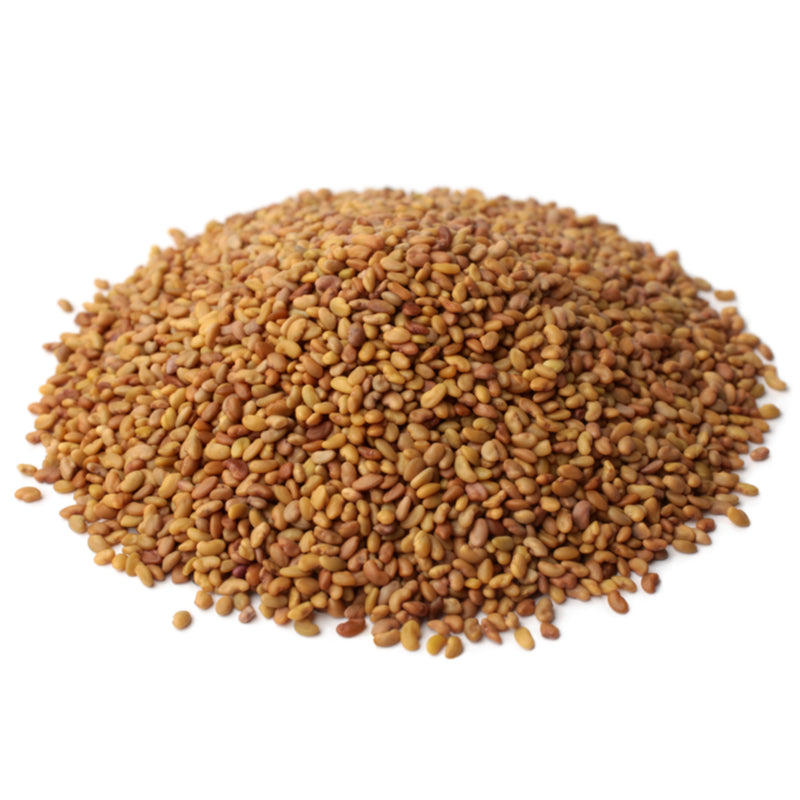 ALFALFA SPROUTING SEED