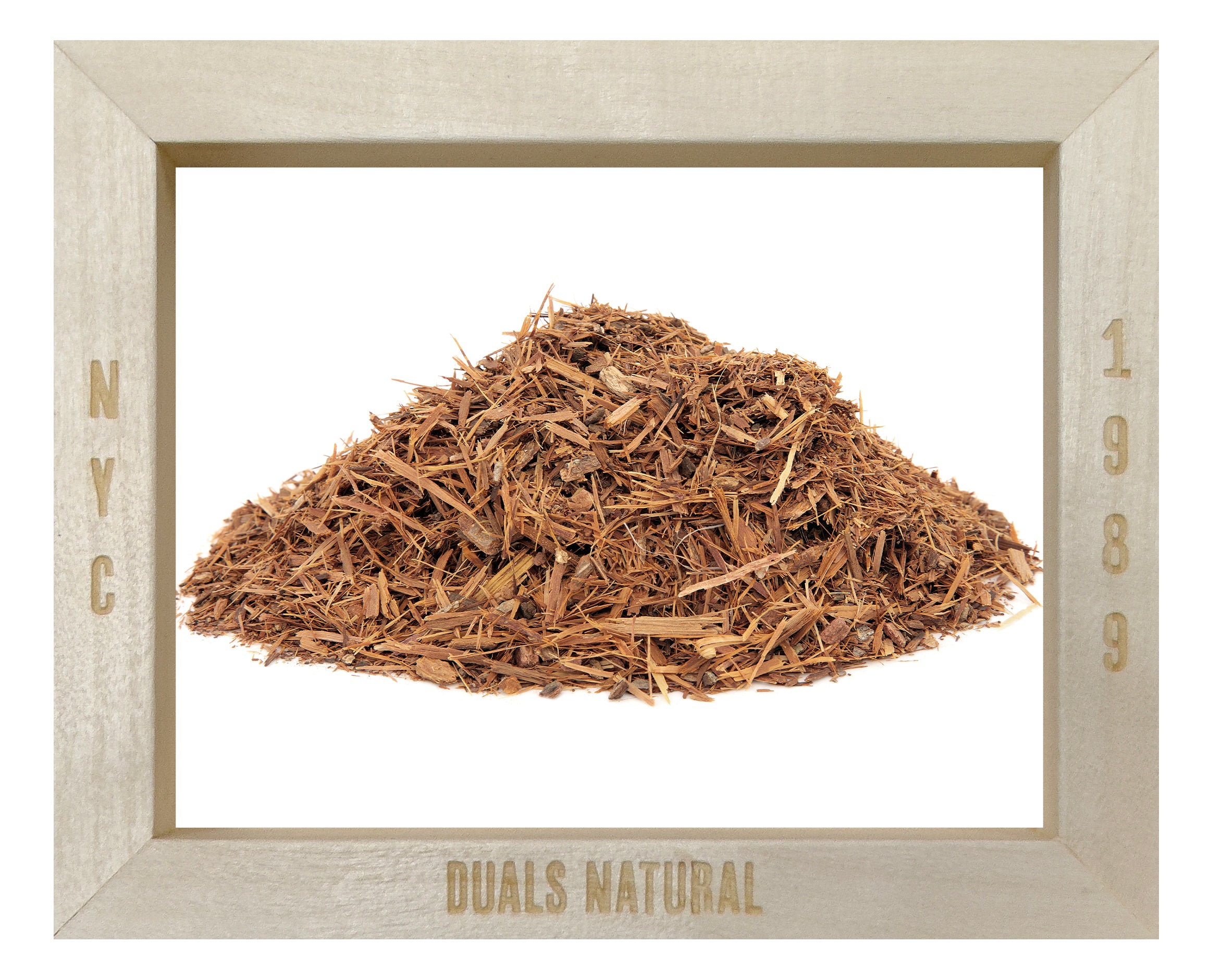 CATUABA  カツアバ CATUABA | Wild Botanical for Vitality + Passion* – Anima Mundi Herbals