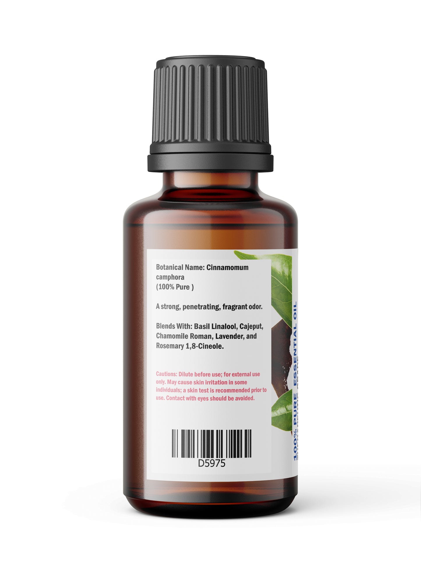 Camphor Essential Oil – Crisp, Penetrating Aroma for Topical Blends & Steam