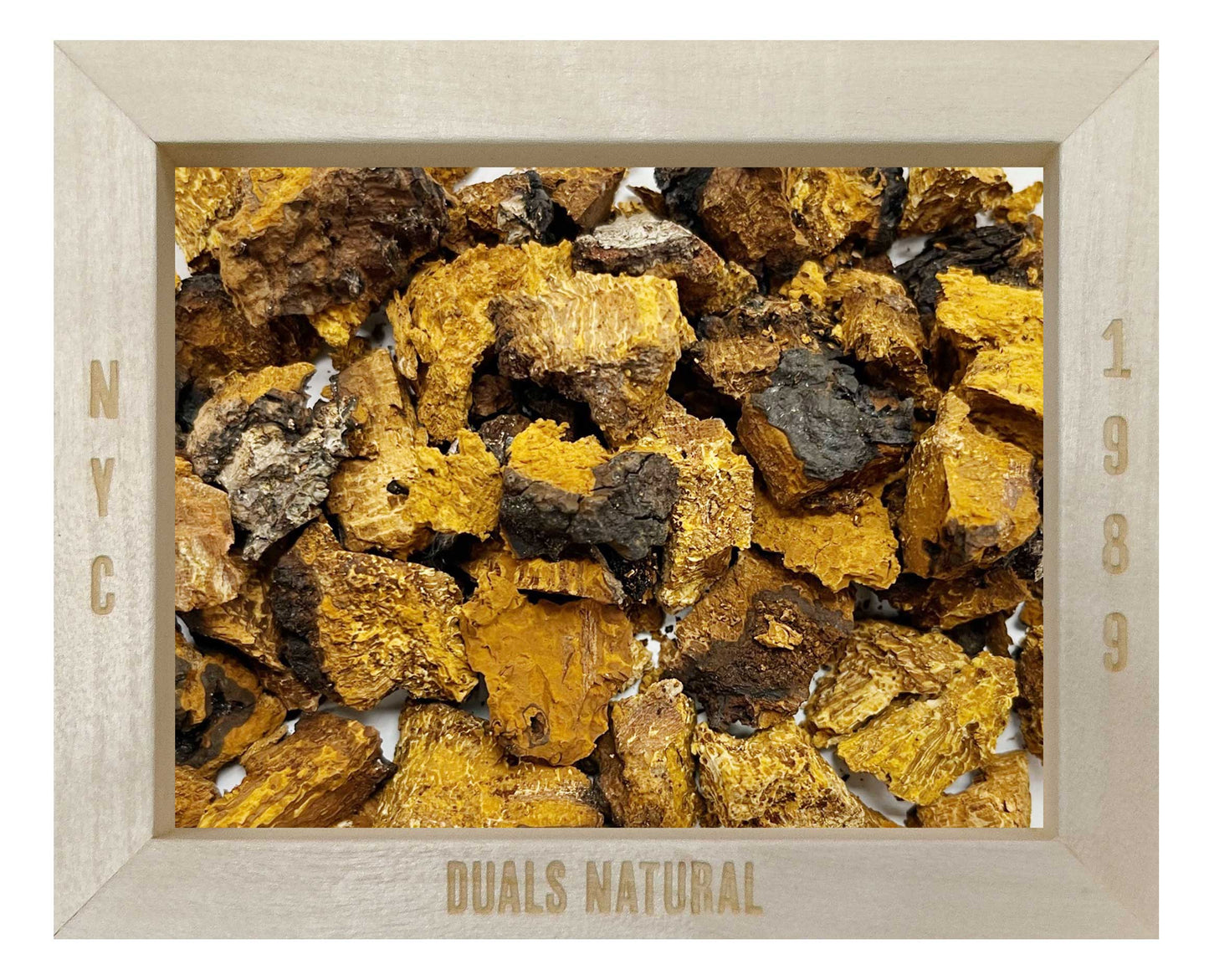 CHAGA MUSHROOM WHOLE