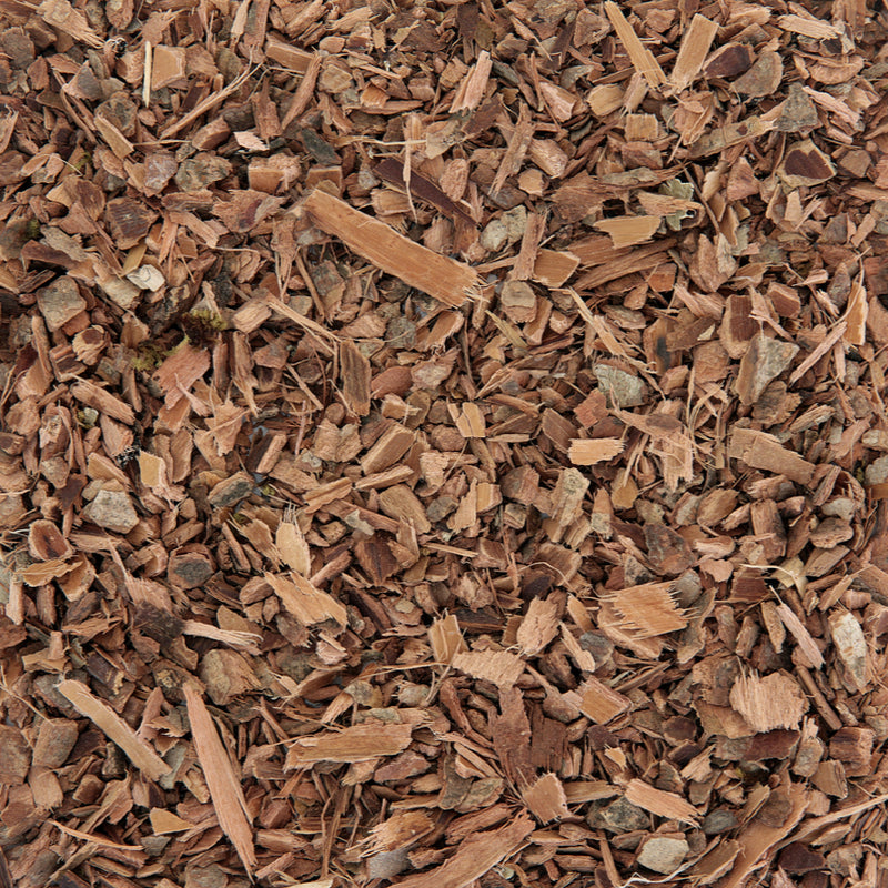 WITCH HAZEL BARK ORG