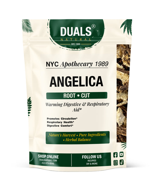 Angelica Root for Digestion & Women's Wellness