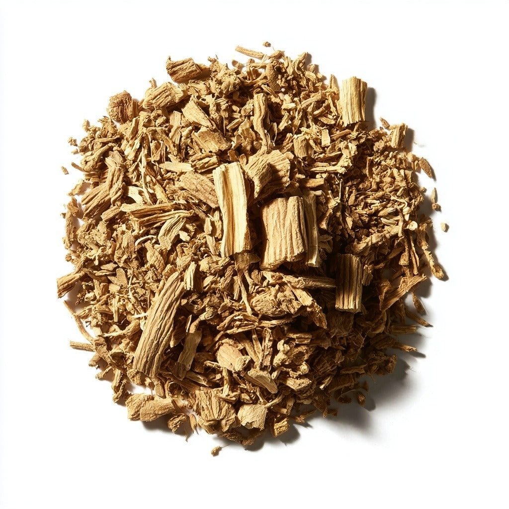 Angelica Root for Digestion & Women's Wellness