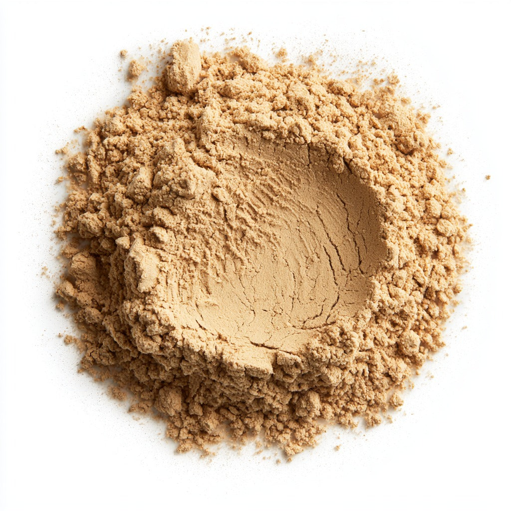 Angelica Root Powder for Digestion & Women's Wellness
