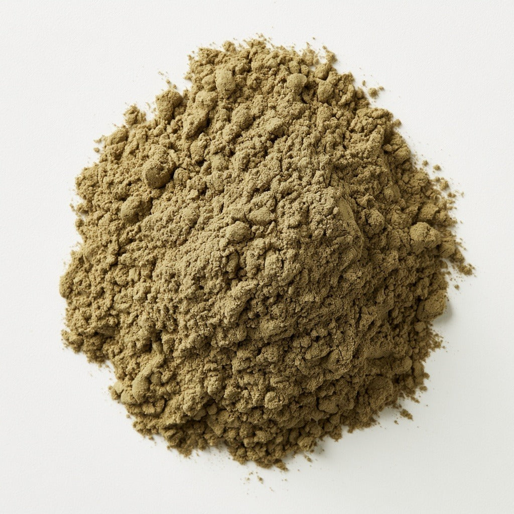 Bacopa Herb Powder for Focus & Memory Support