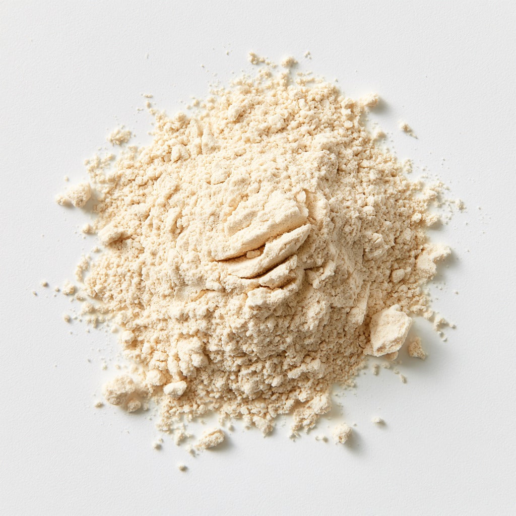 Cashew Milk Powder for Snacking & Recipes, 8 OZ - MASON JAR