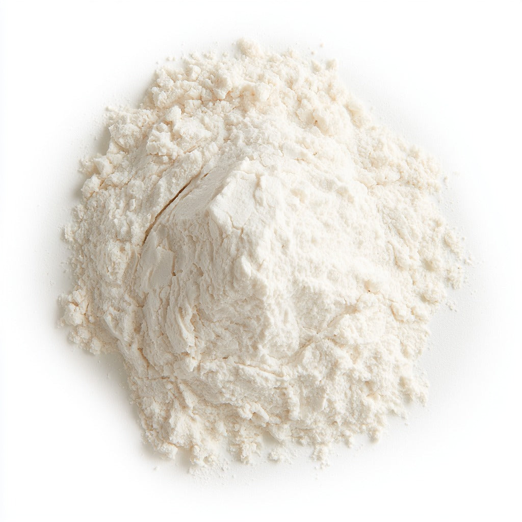Coconut Milk Powder for Snacking & Recipes, 8 OZ - MASON JAR