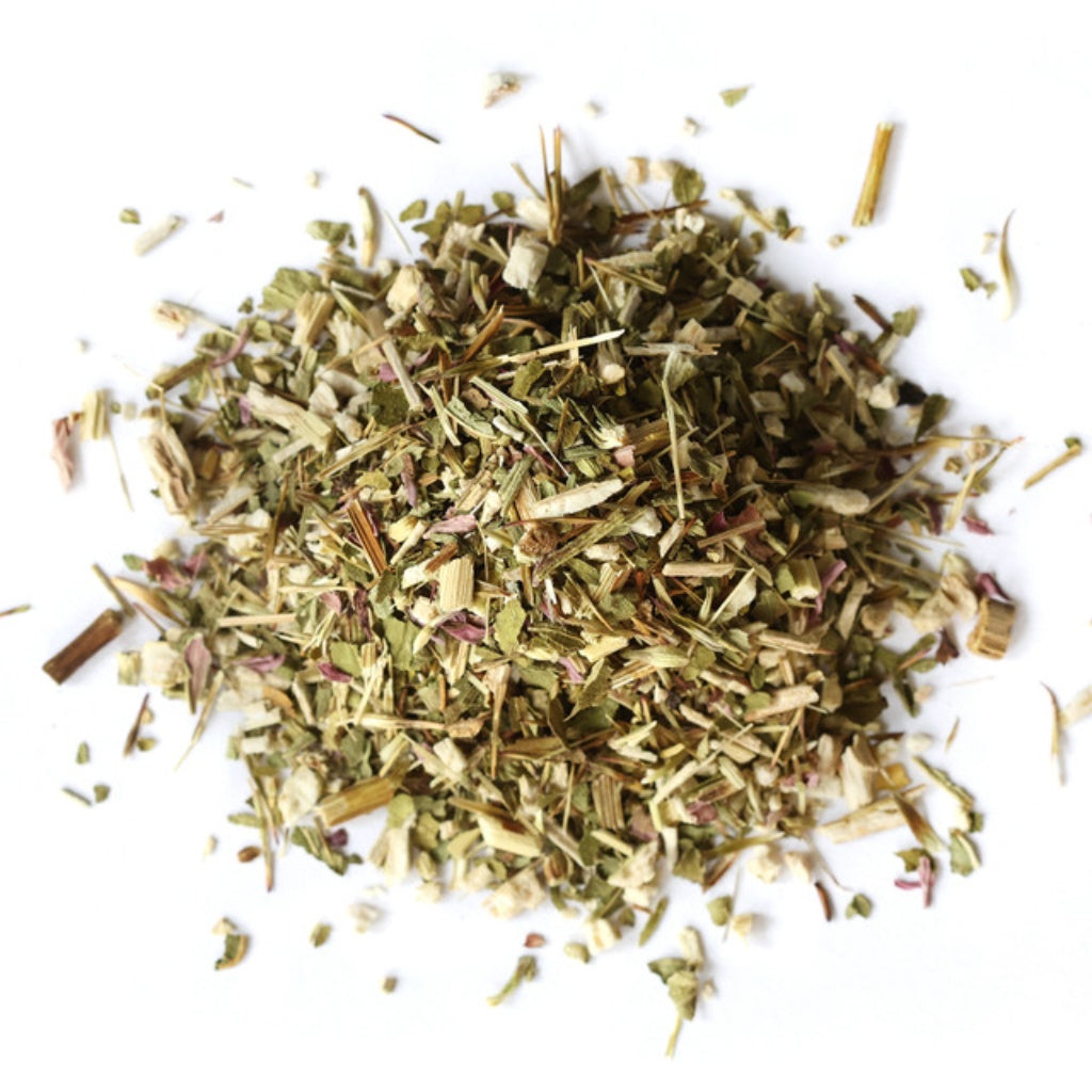 Echinacea Herb C/s for Immune Support