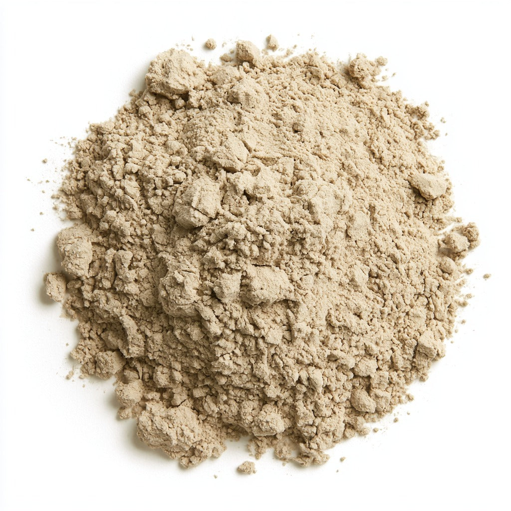 Echinacea Powder for Immune Support