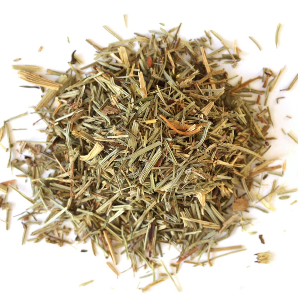 Horsetail Shavegrass Cut for Hair, Skin & Nail Support