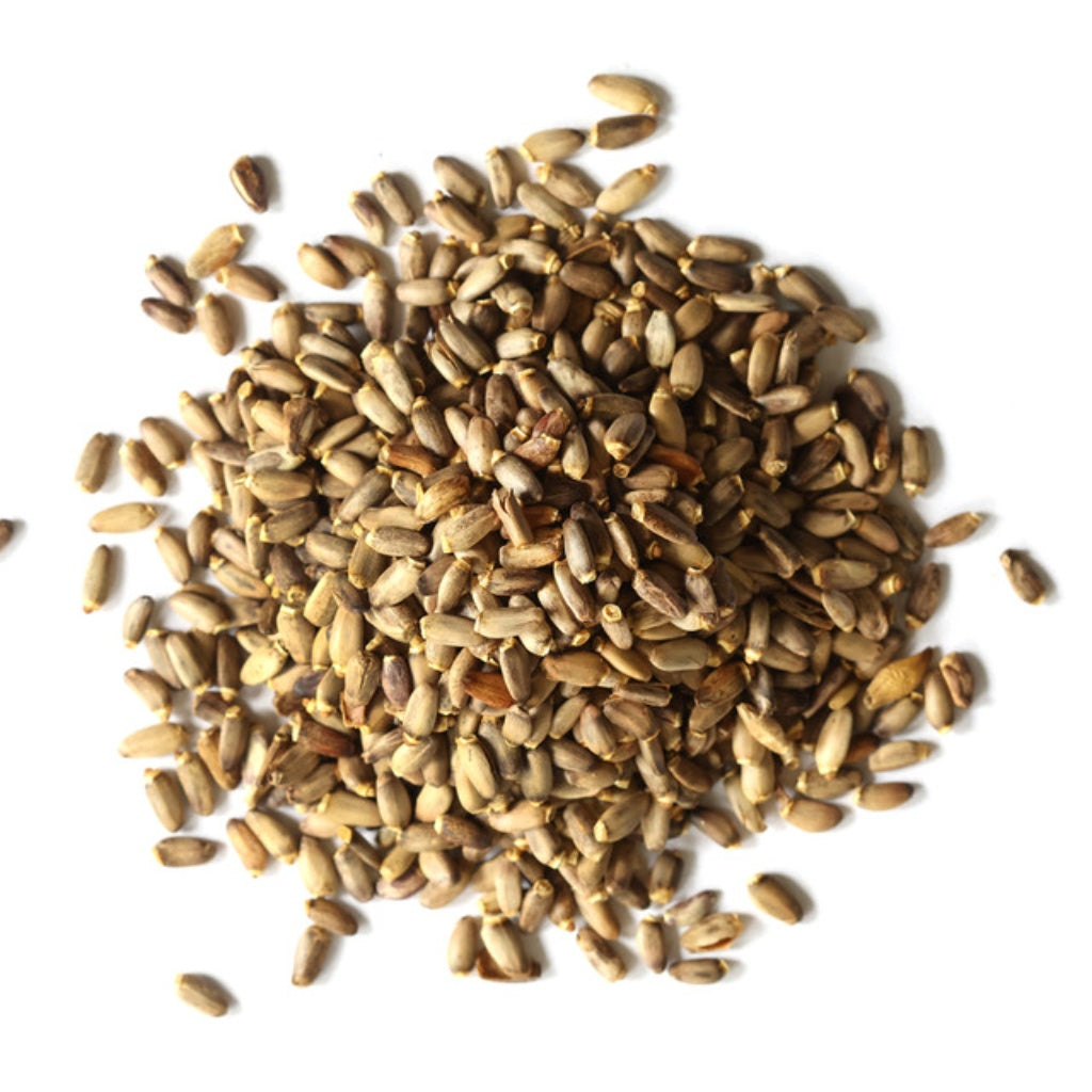 Milk Thistle Seed for Snacking & Recipes