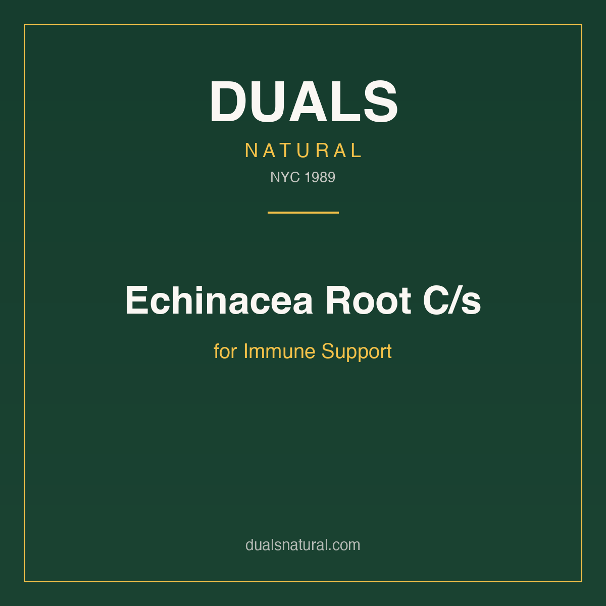 Echinacea Root C/s for Immune Support
