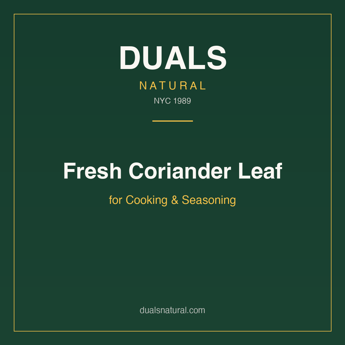 Fresh Coriander Leaf for Cooking & Seasoning