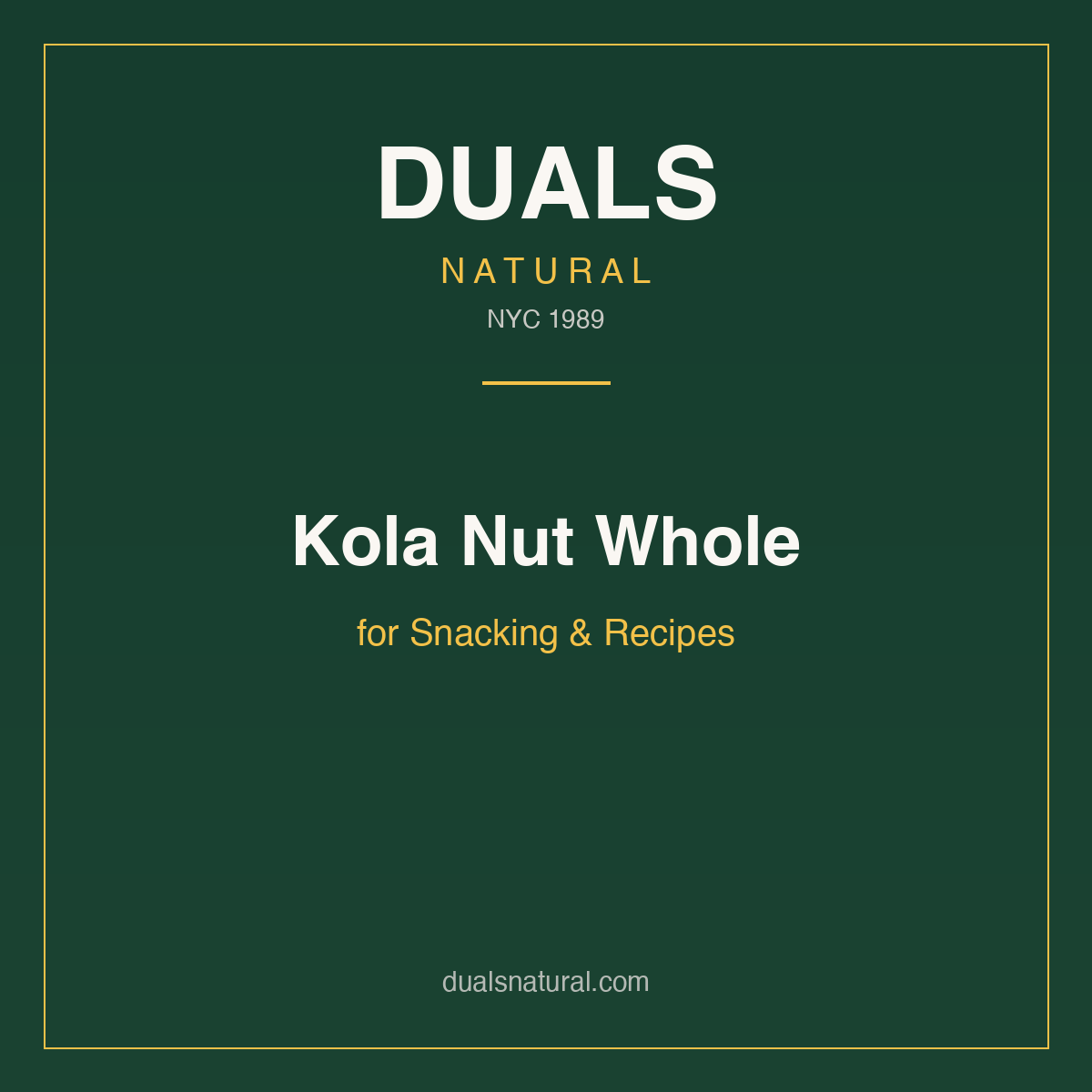 Kola Nut Whole for Snacking & Recipes