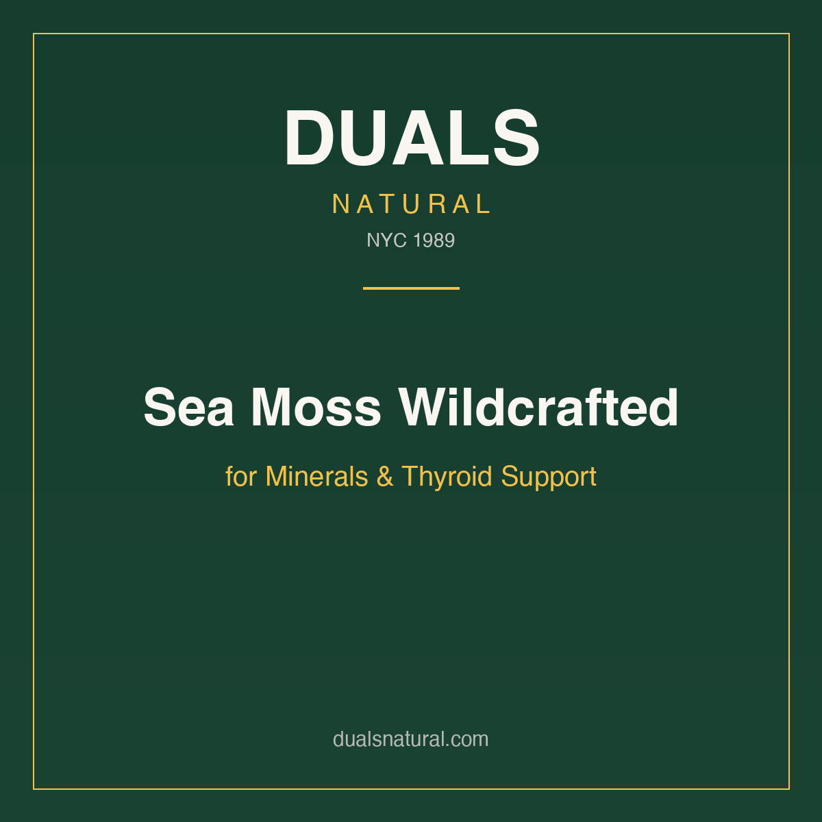 Sea Moss Wildcrafted for Minerals & Thyroid Support