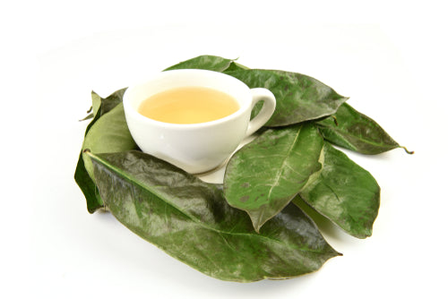 Premium Whole Dried Soursop Leaves - Ecuadorian Graviola Tea