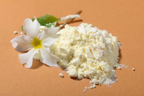 Royal Jelly Powder, Lyophilized - 0.78 oz