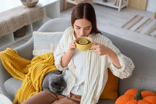 Premium Whole Dried Soursop Leaves - Ecuadorian Graviola Tea