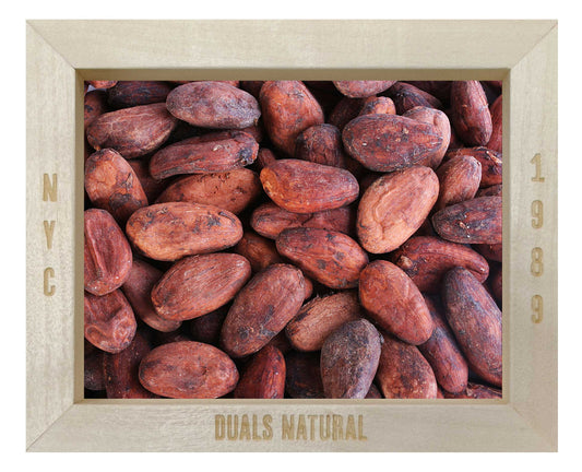 Cacao Beans Raw