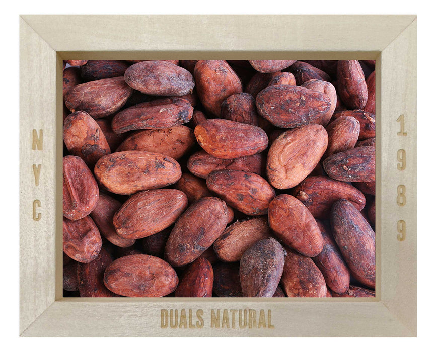 CACAO BEANS RAW