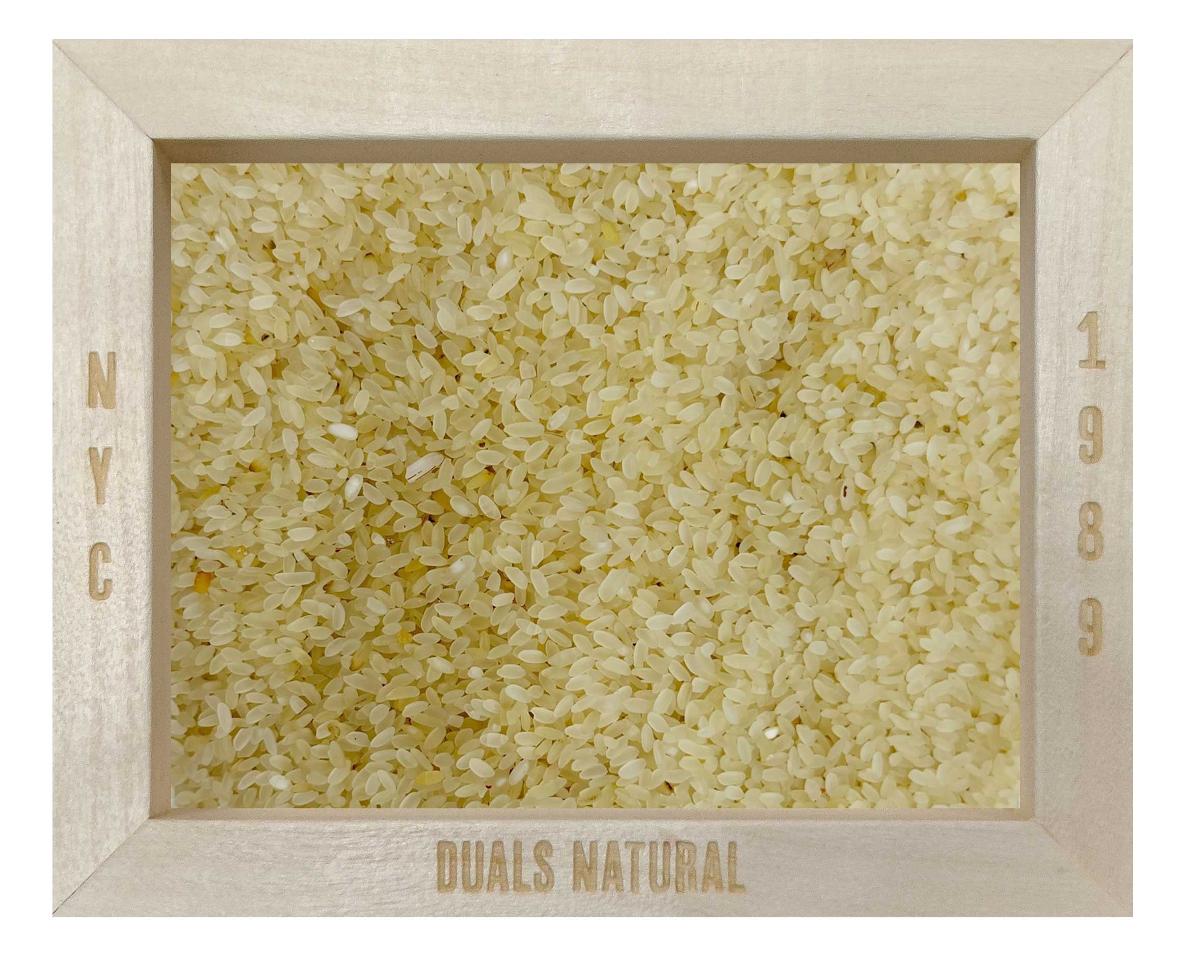 White Samba Rice