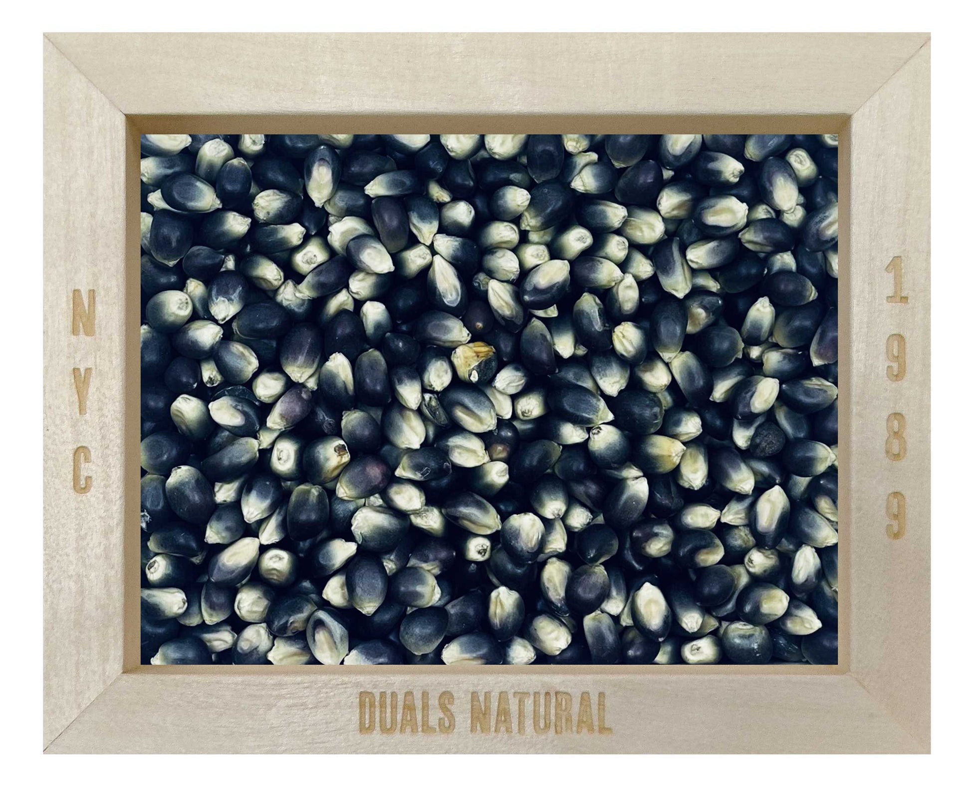 POP CORN, SHAMAN BLUE