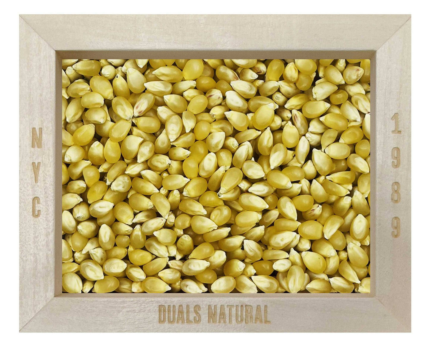 POP CORN, PEARL WHITE