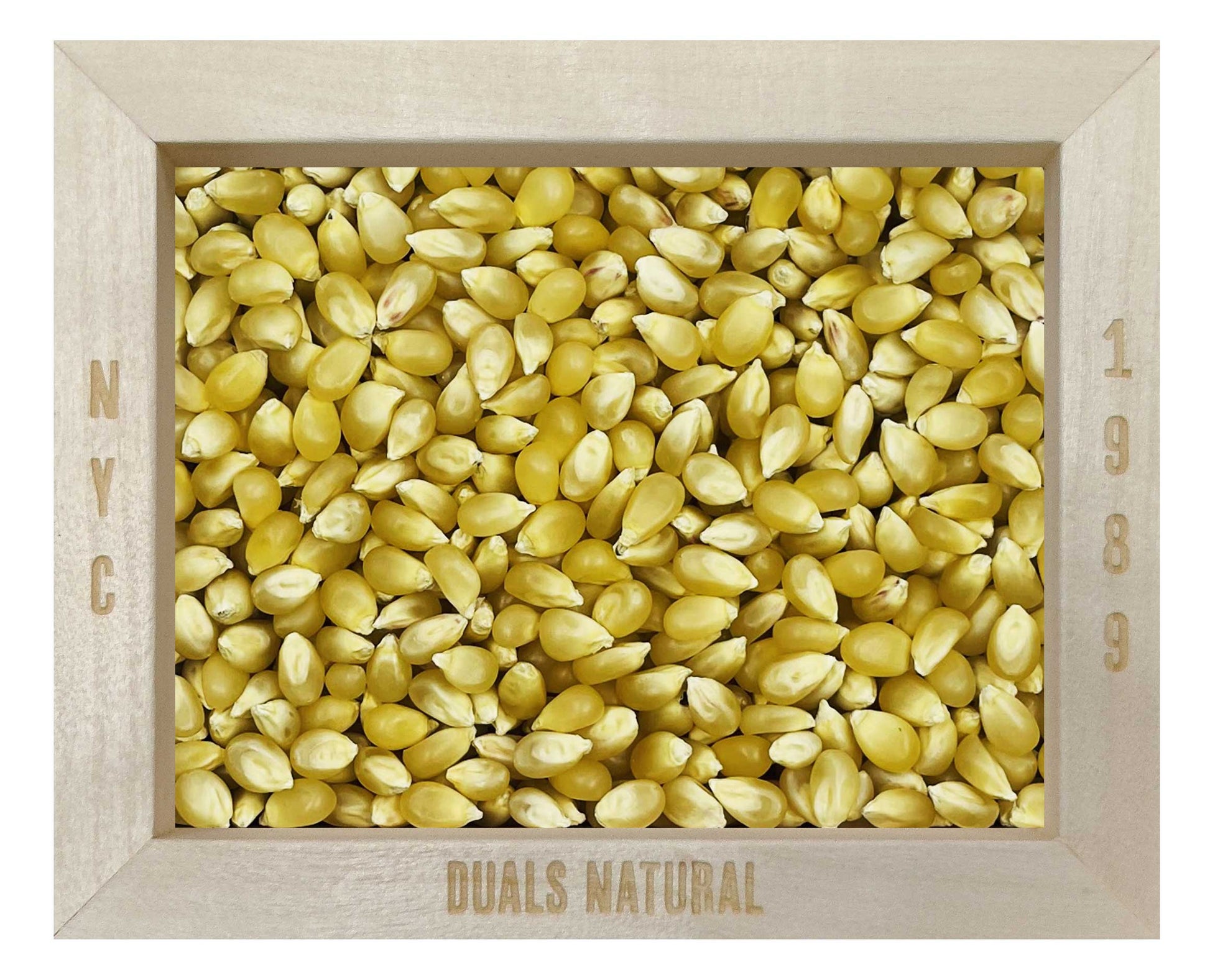 POP CORN, PEARL WHITE