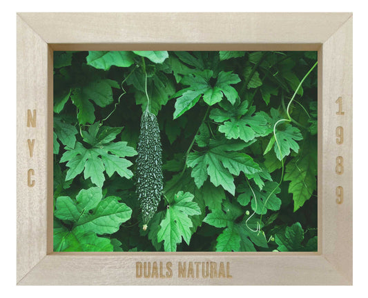 BITTER MELON LEAF TEA