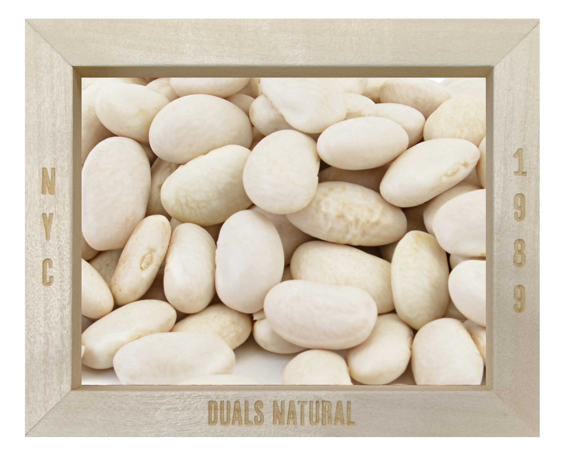 CANNELLINI BEANS