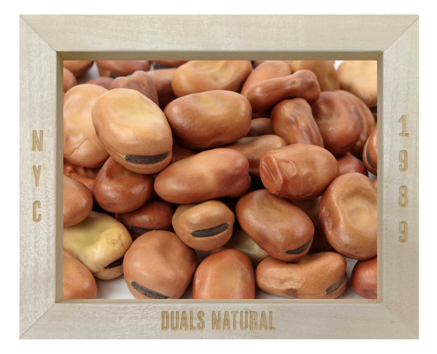 FAVA BEANS JUMBO WHOLE