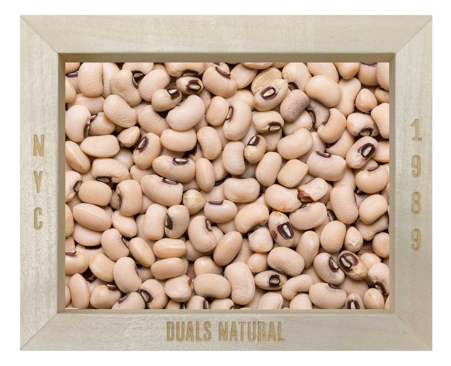 NAVY BEANS ORGANIC