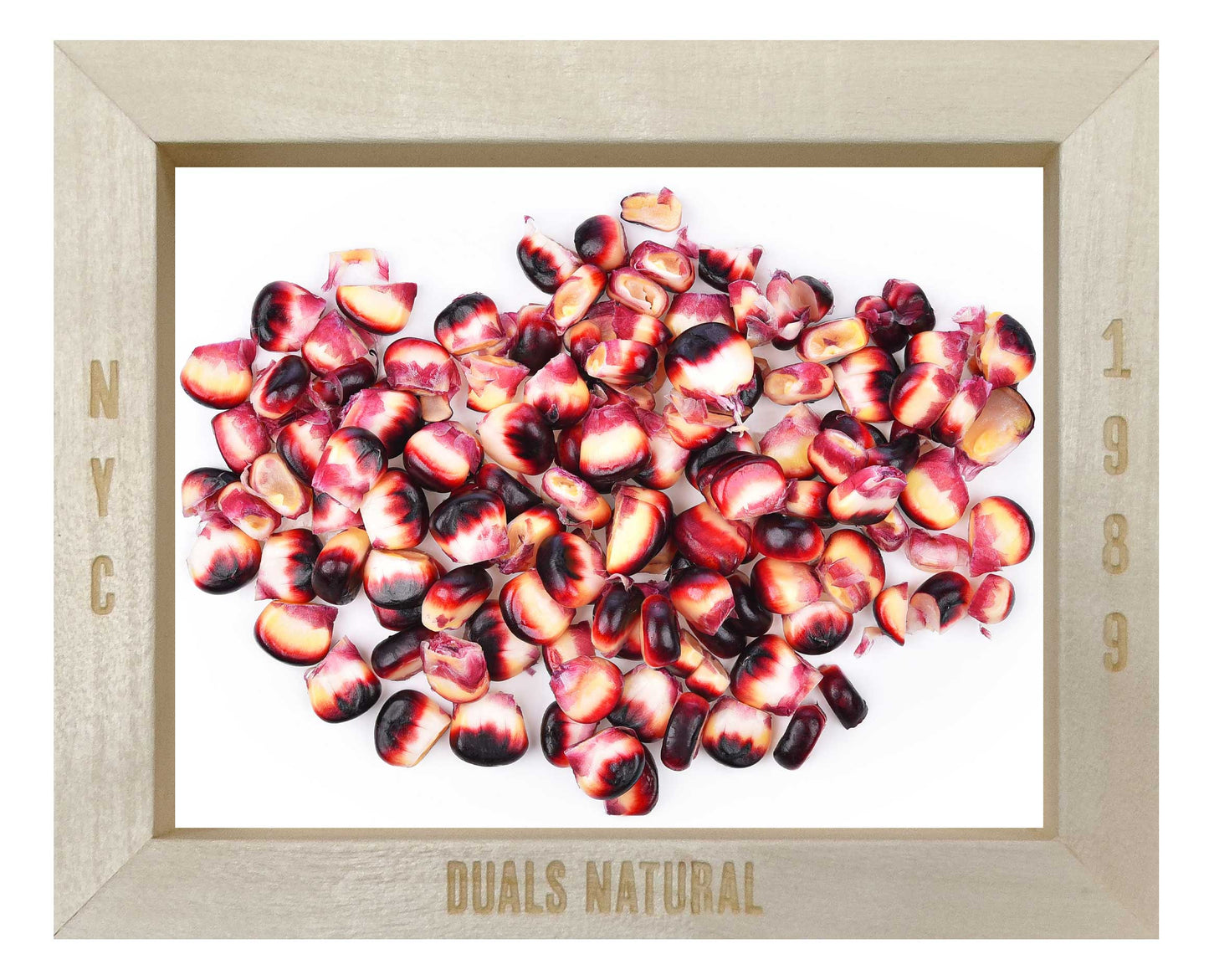 POP CORN KERNALS PURPLE