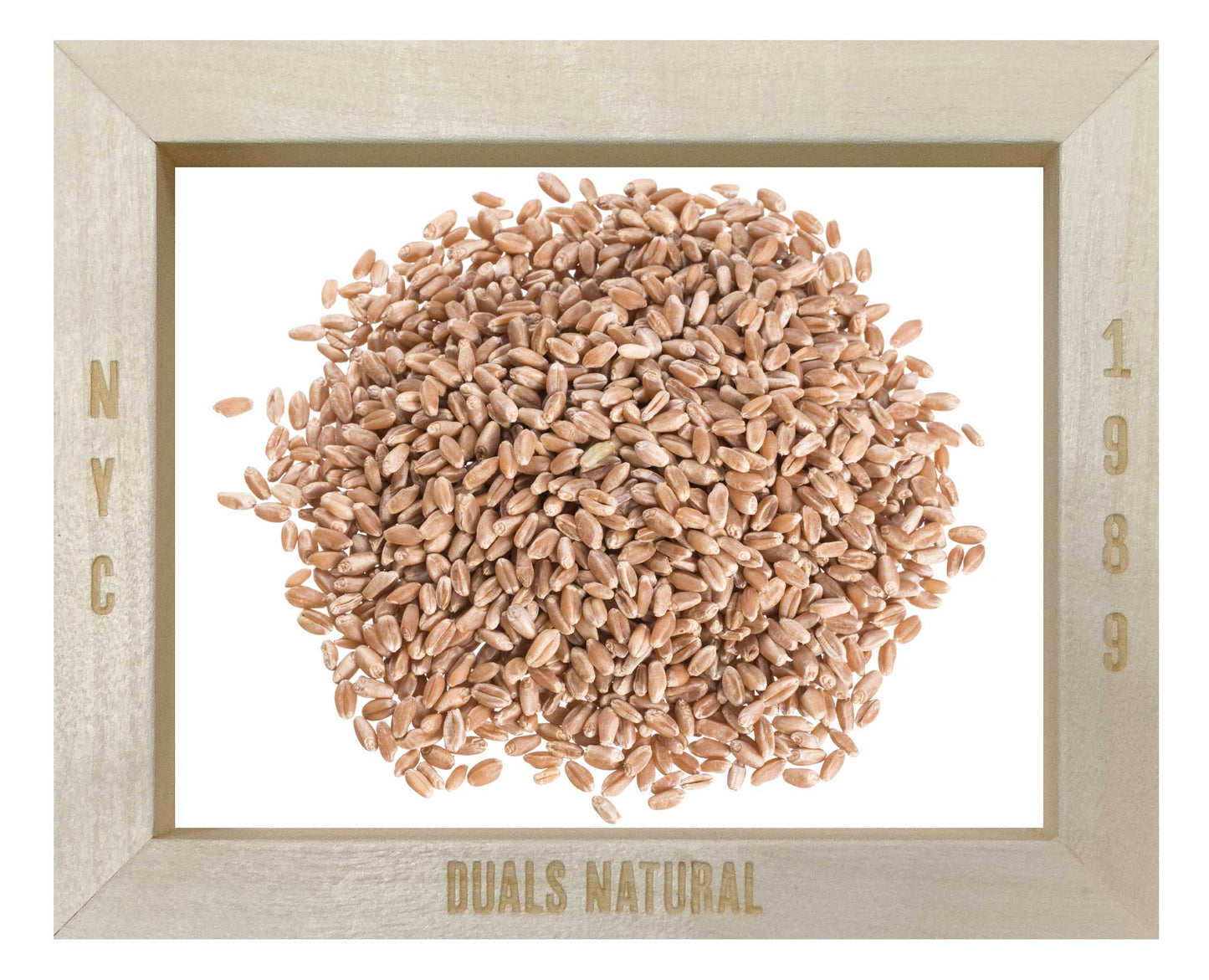 WHOLE WHEAT BERRY ORG