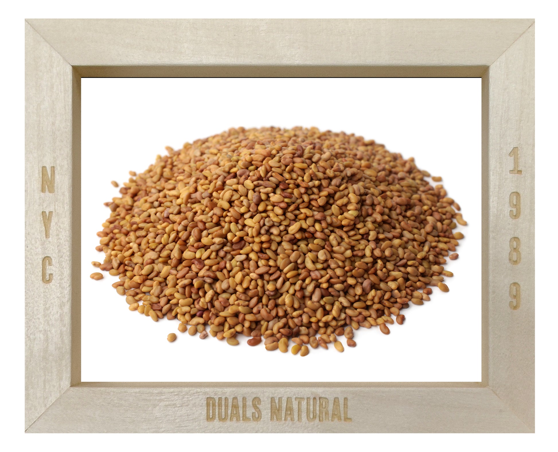 ALFALFA SPROUTING SEED