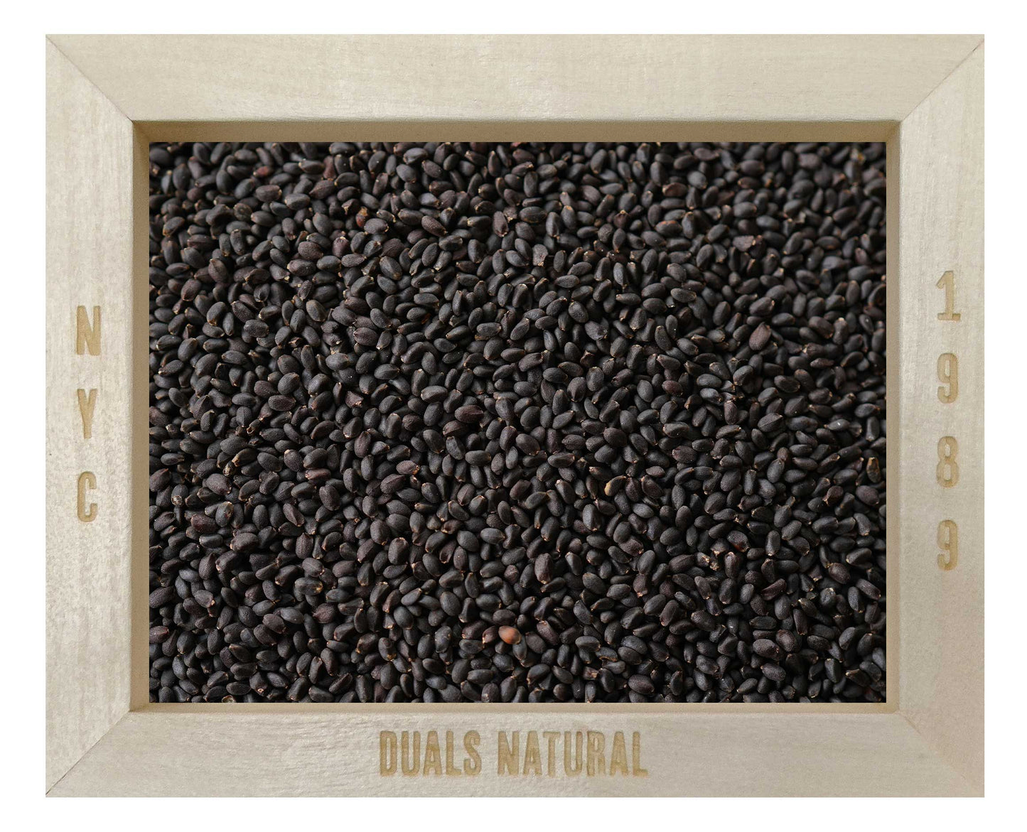 BASIL SEED