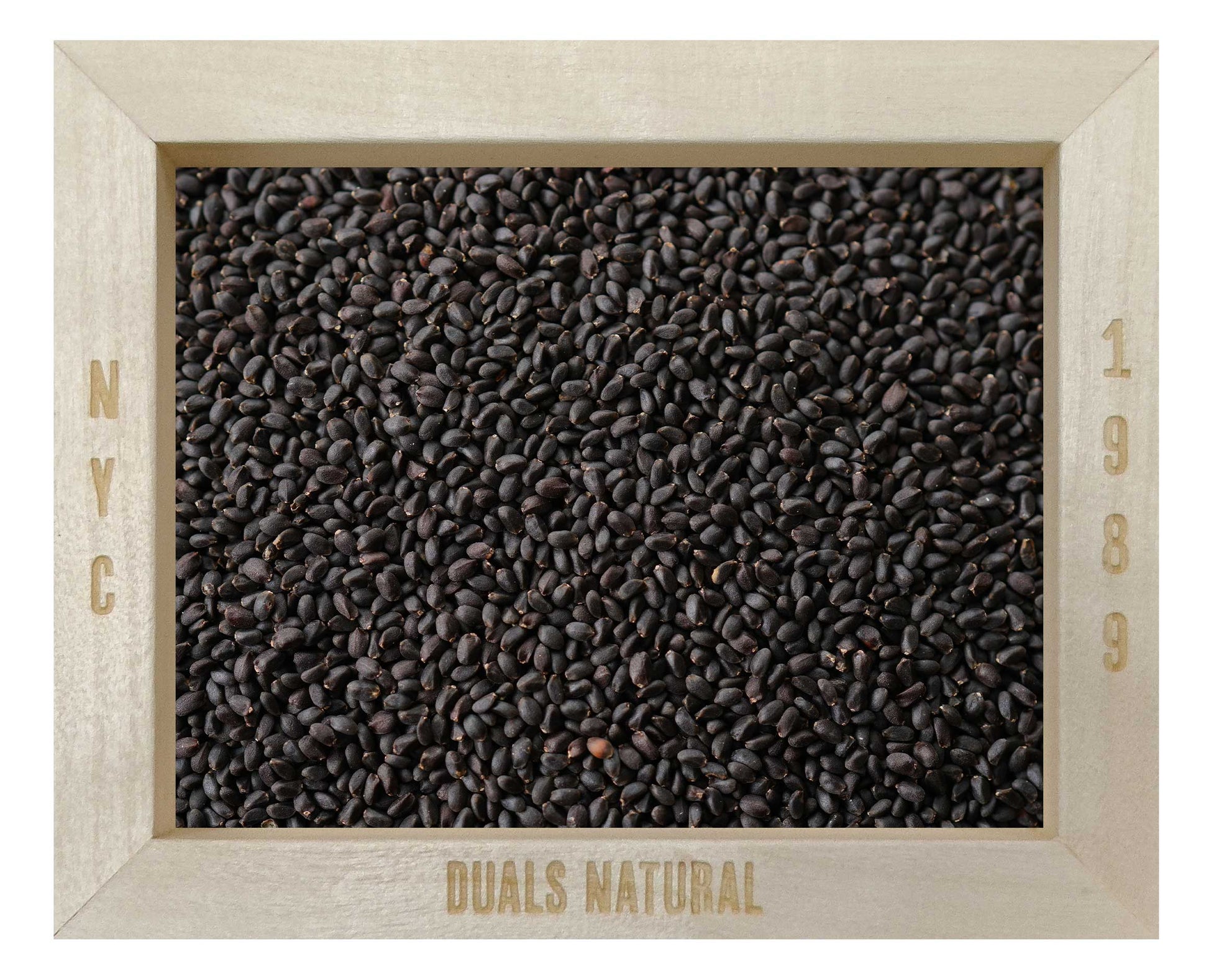 BASIL SEED