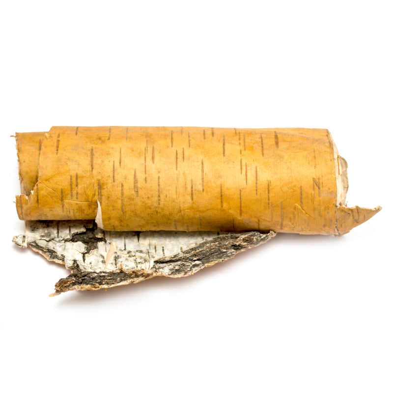 BIRCH BARK