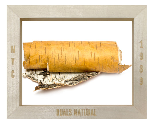 BIRCH BARK