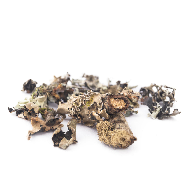 BLACK STONE FLOWER DAGAD PHOOL