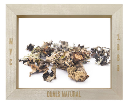 BLACK STONE FLOWER DAGAD PHOOL