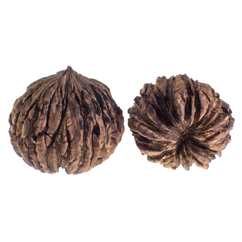 BLACK WALNUT HULL WHOLE ORG