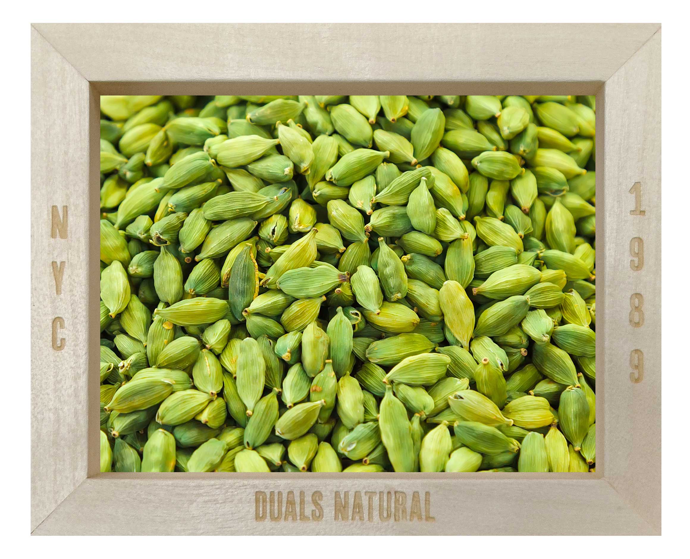 CARDAMOM-GREEN.jpg?v=