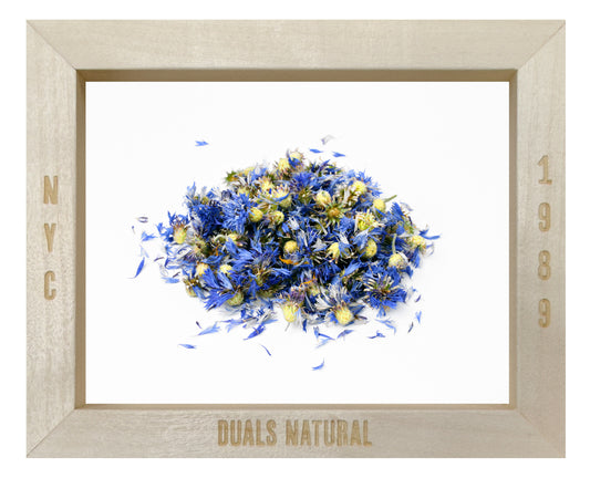 CORNFLOWERS ORG