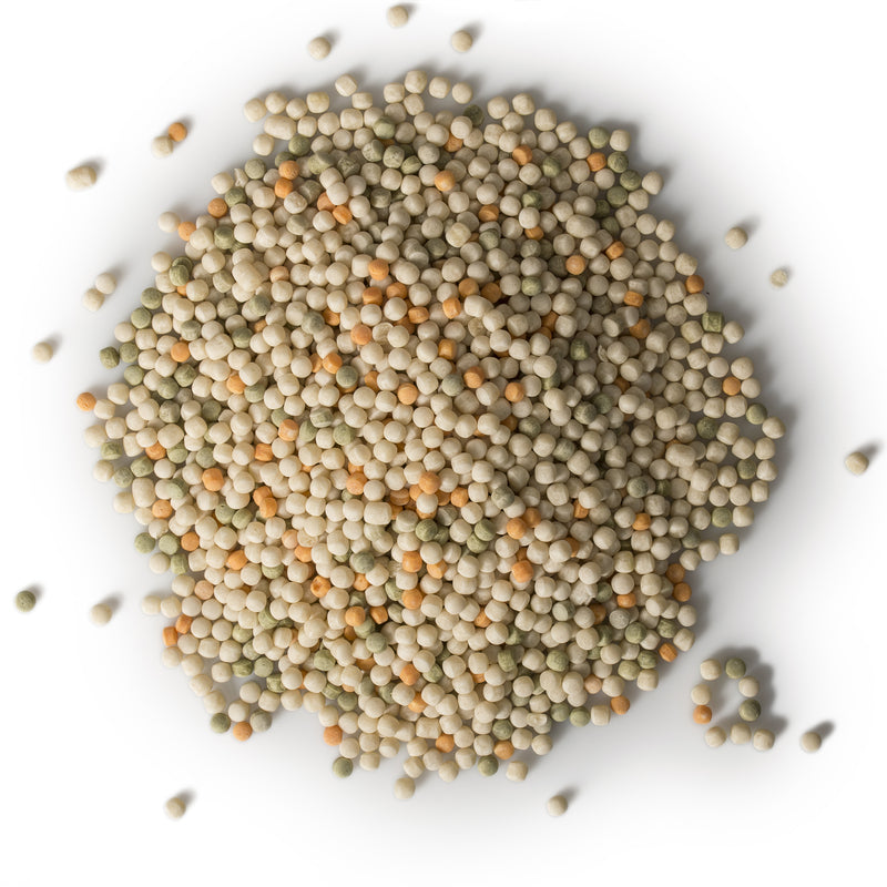 COUSCOUS TRI COLOR PASTA TOASTED